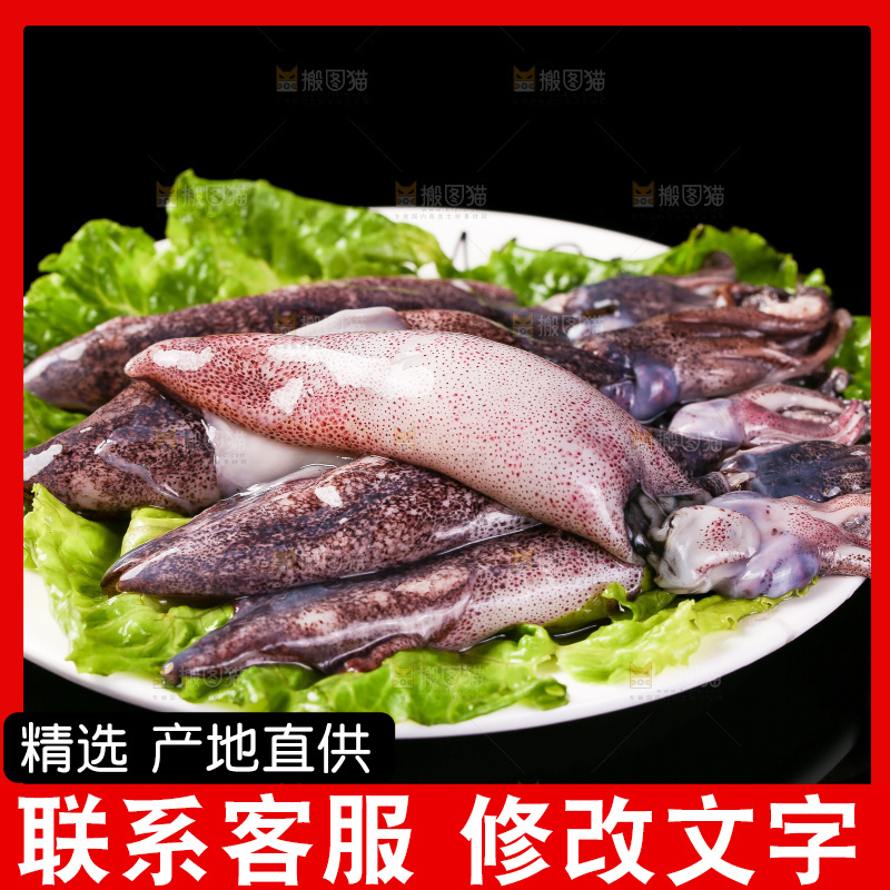 黑底上的海兔