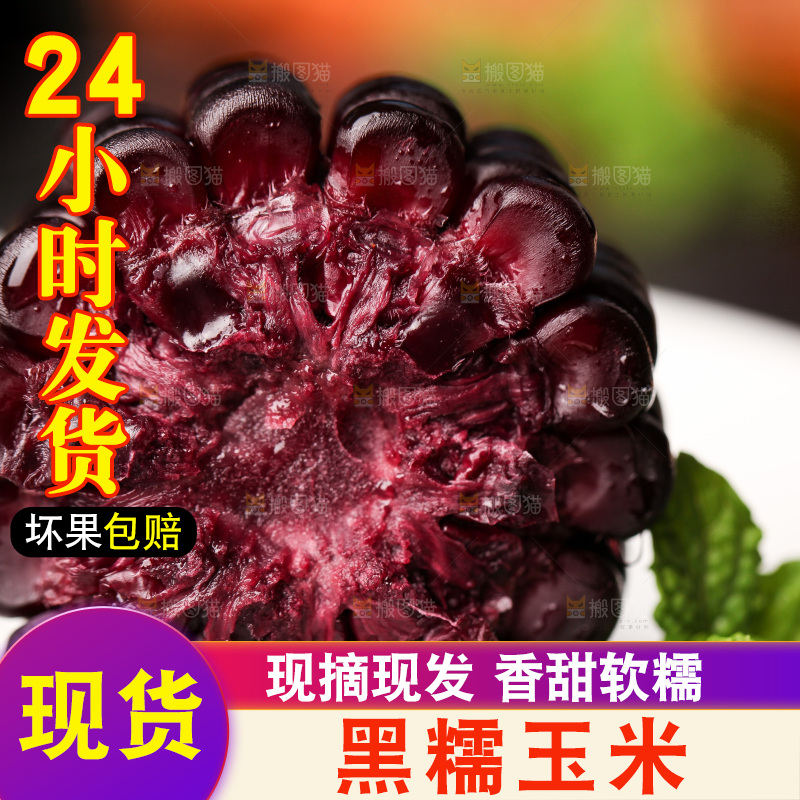 浅底上的黑糯玉米