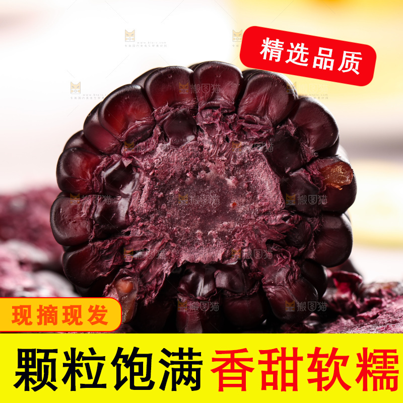 浅底上的黑糯玉米