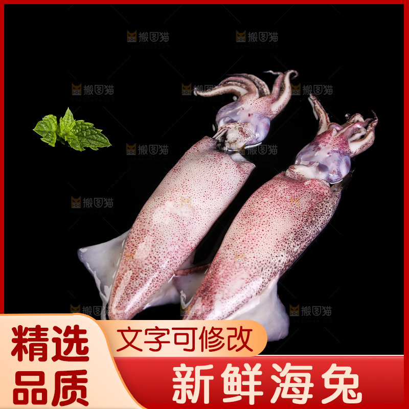 黑底上的海兔