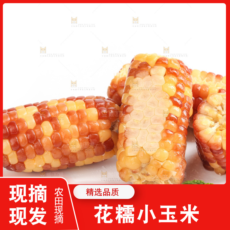 白底上的小花糯玉米