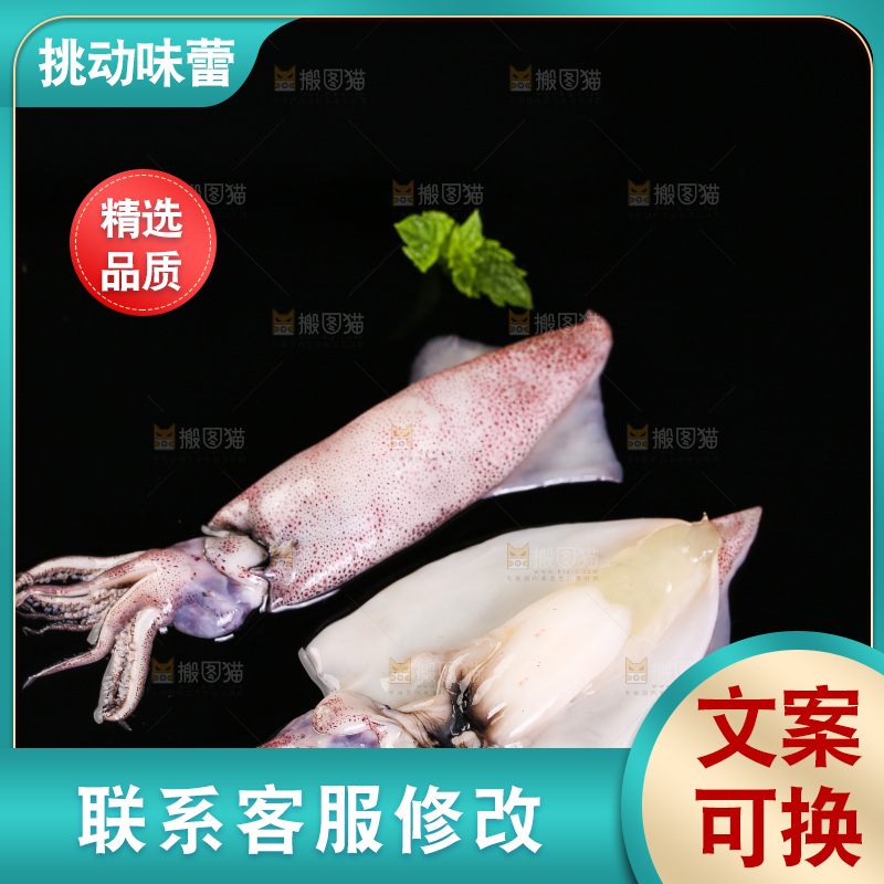 黑底上的海兔
