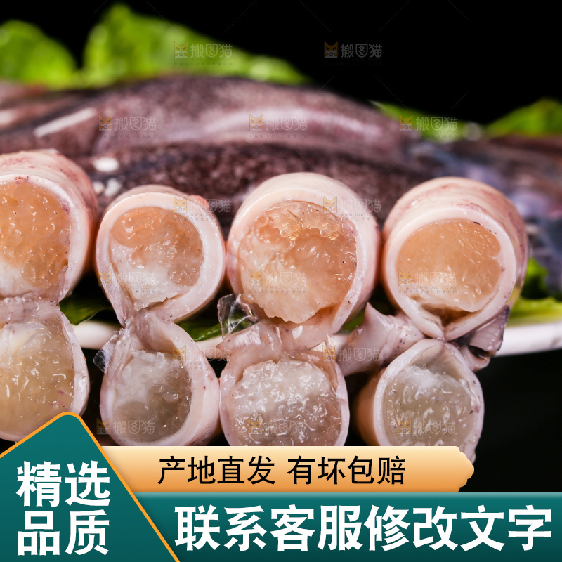 黑底上的海兔