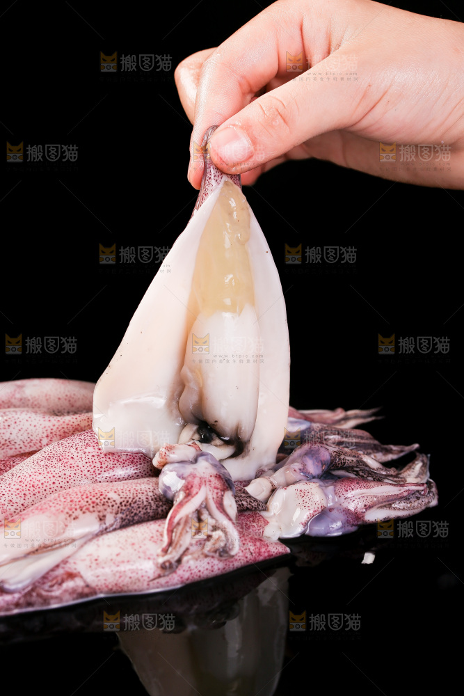 黑底上的海兔