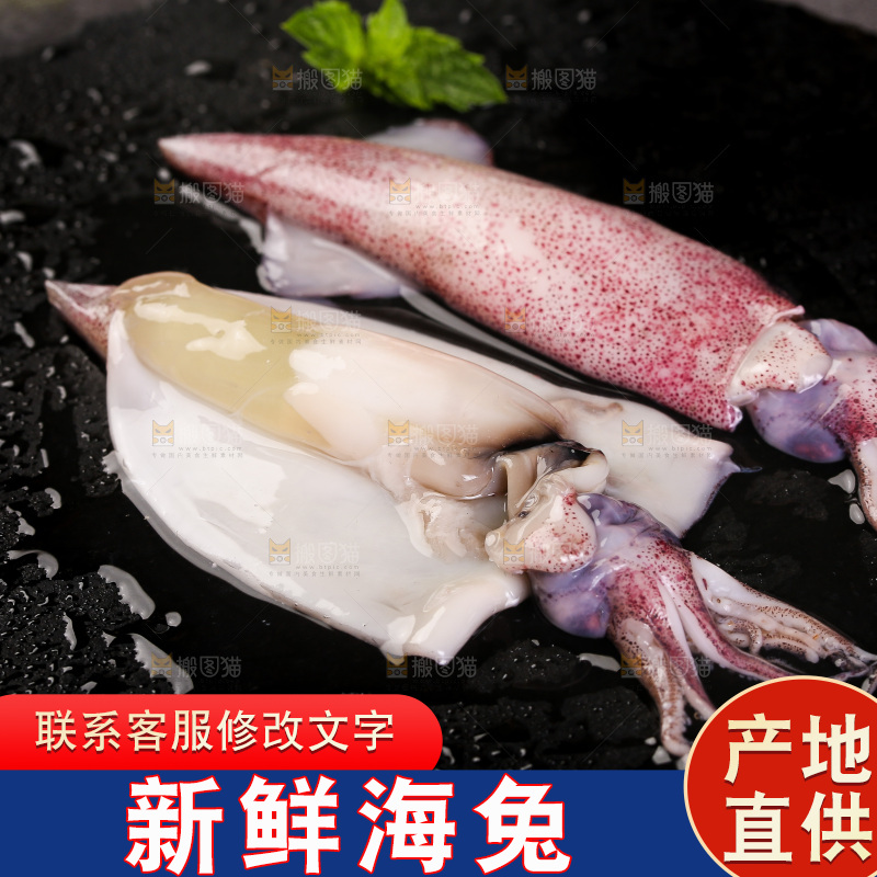 黑底上的海兔