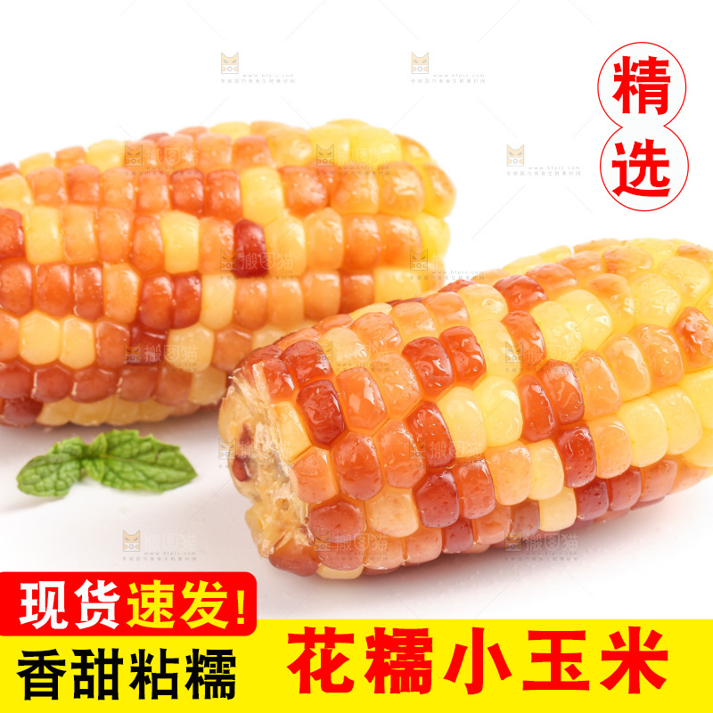 白底上的小花糯玉米