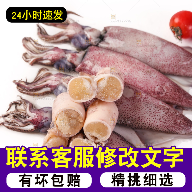 白底上的海兔
