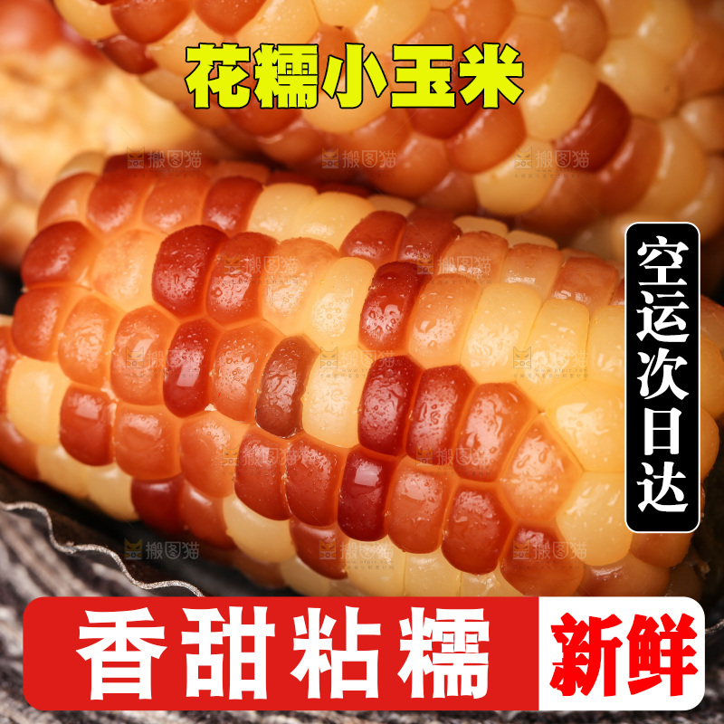 深底上的小花糯玉米