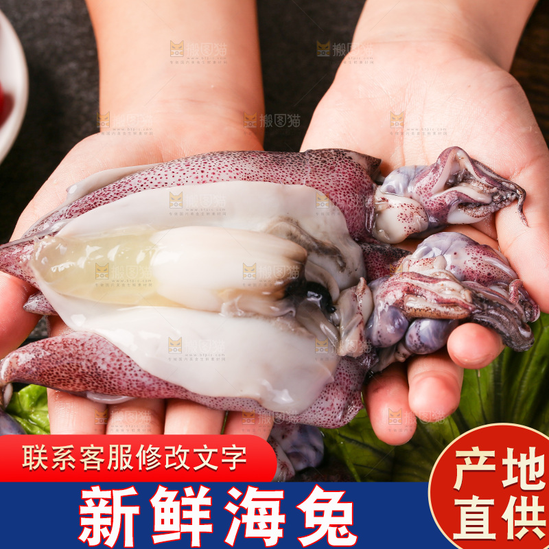 深底上的海兔