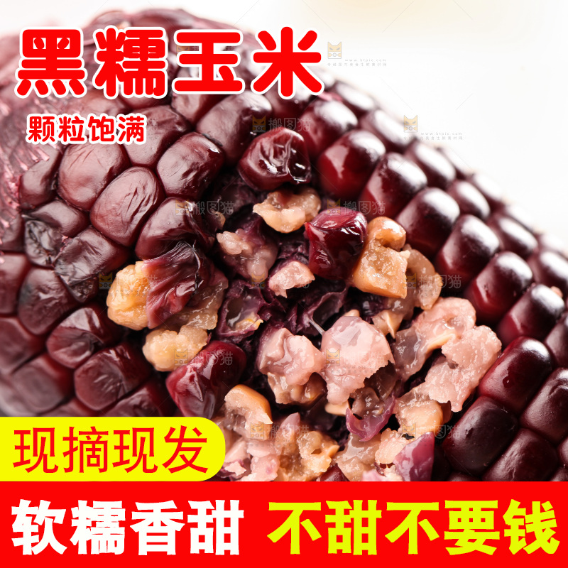 浅底上的黑糯玉米
