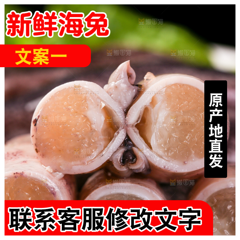 黑底上的海兔