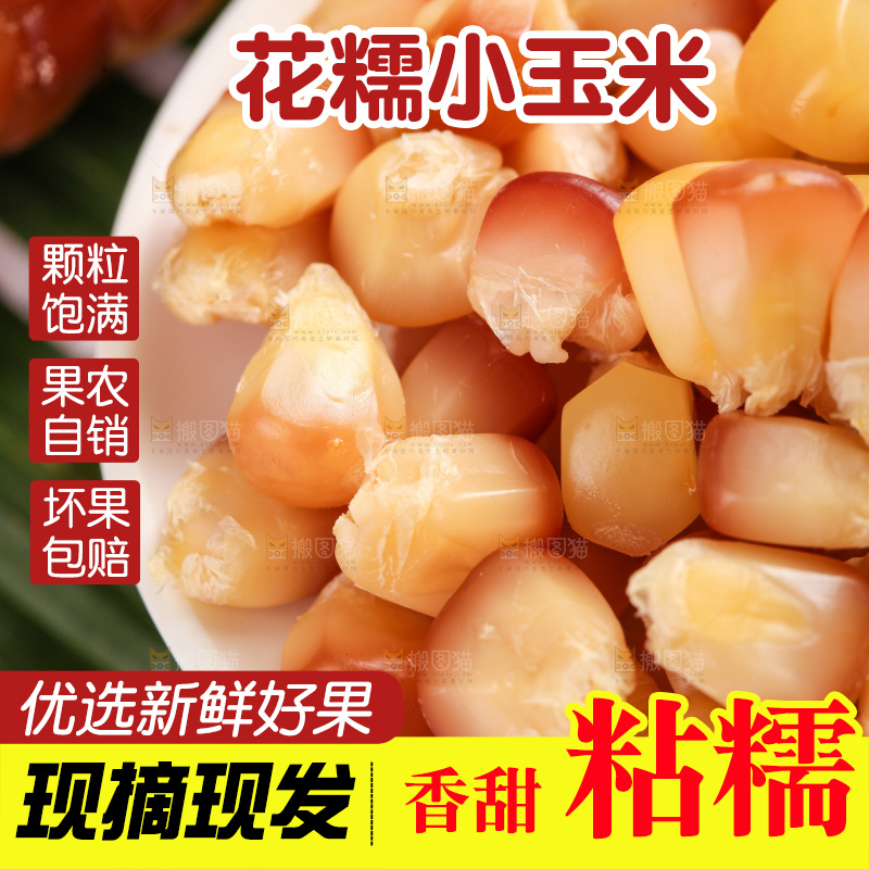 浅底上的小花糯玉米