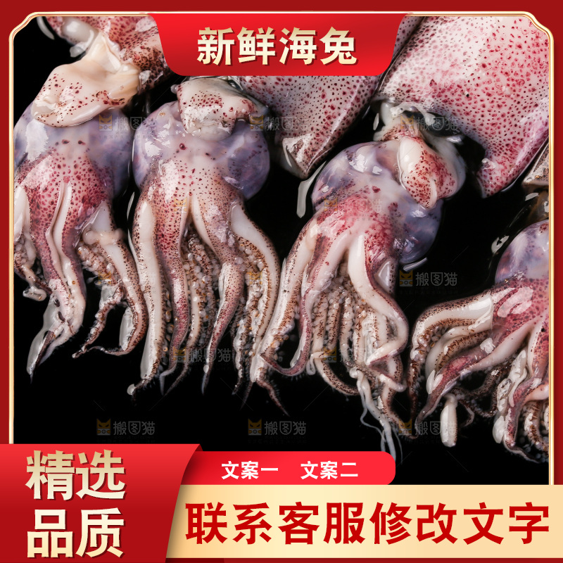 黑底上的海兔