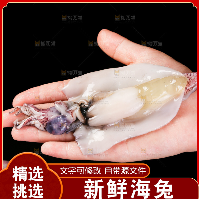 黑底上的海兔