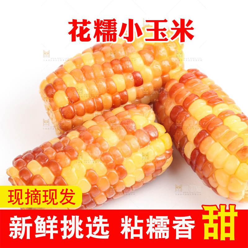 白底上的小花糯玉米