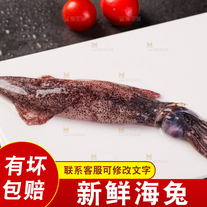 深底上的海兔