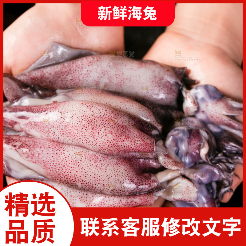 黑底上的海兔