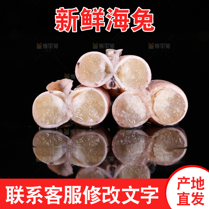 黑底上的海兔