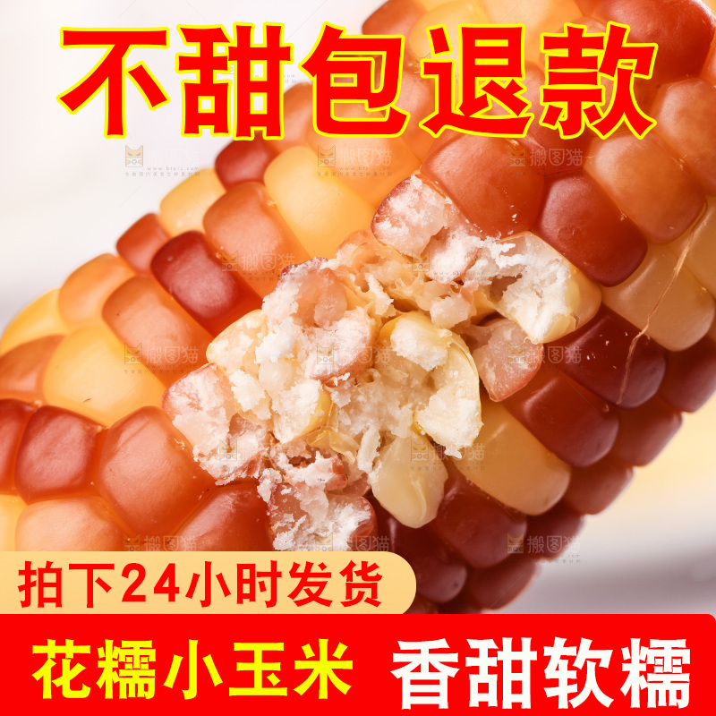 浅底上的小花糯玉米