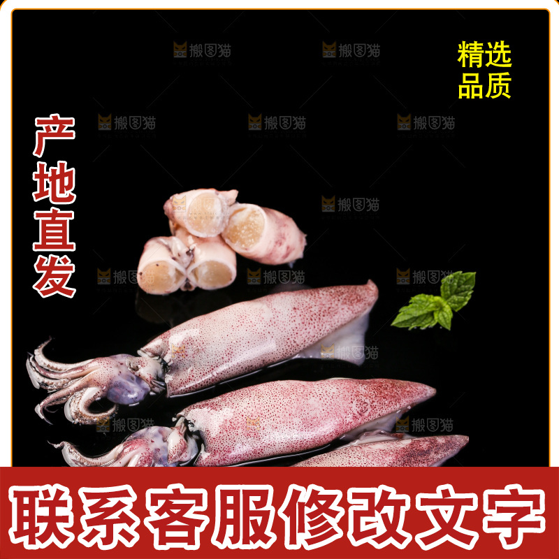 黑底上的海兔