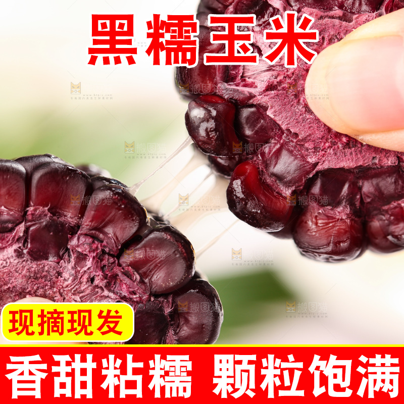 浅底上的黑糯玉米