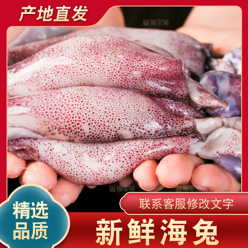 黑底上的海兔