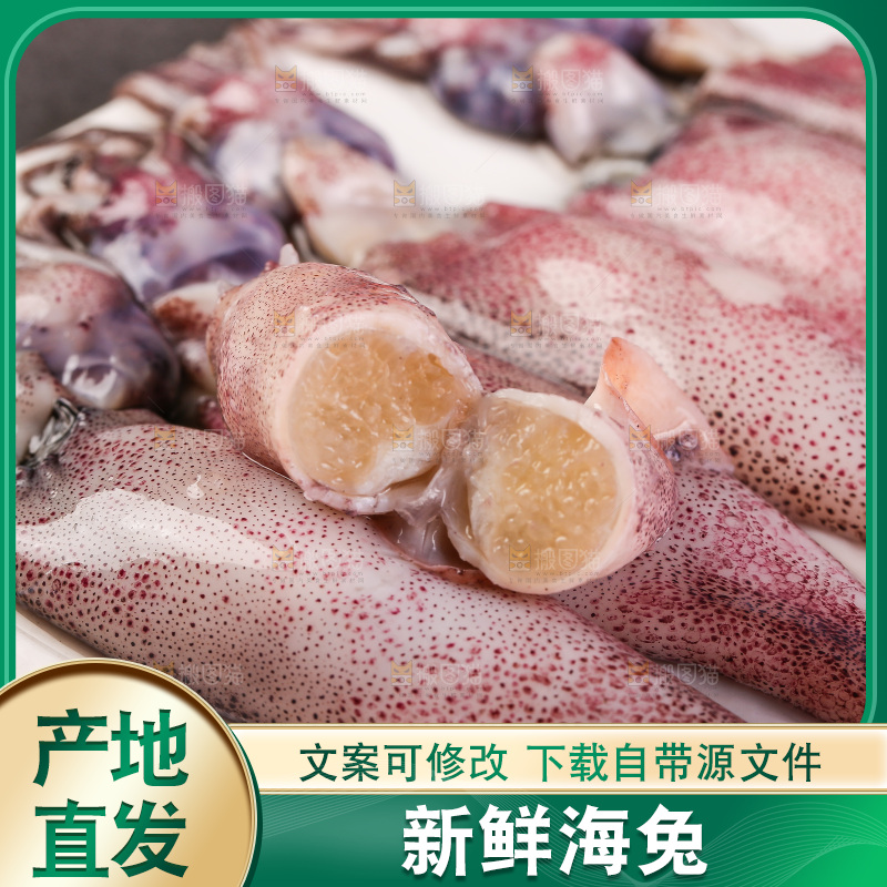 深底上的海兔