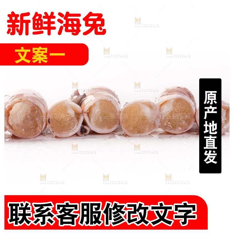 白底上的海兔