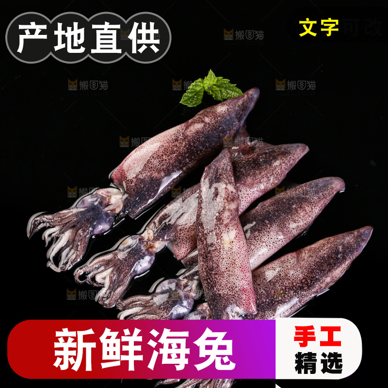 黑底上的海兔