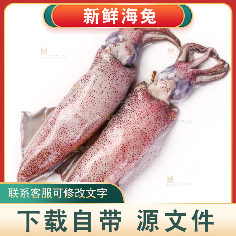 白底上的海兔