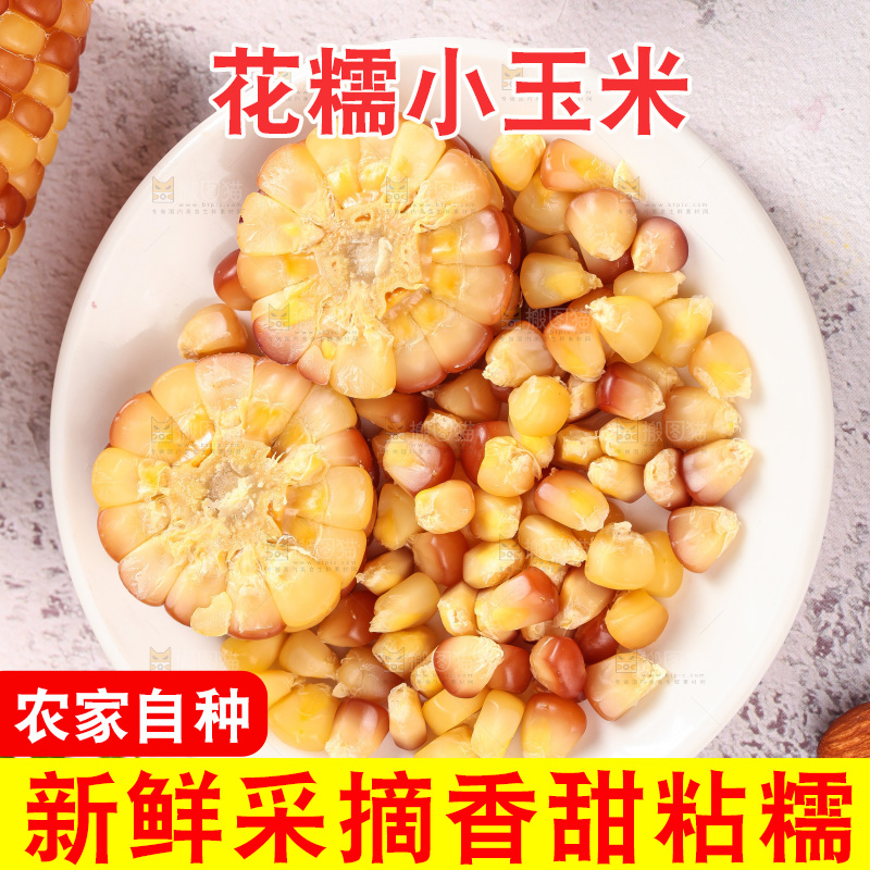浅底上的小花糯玉米
