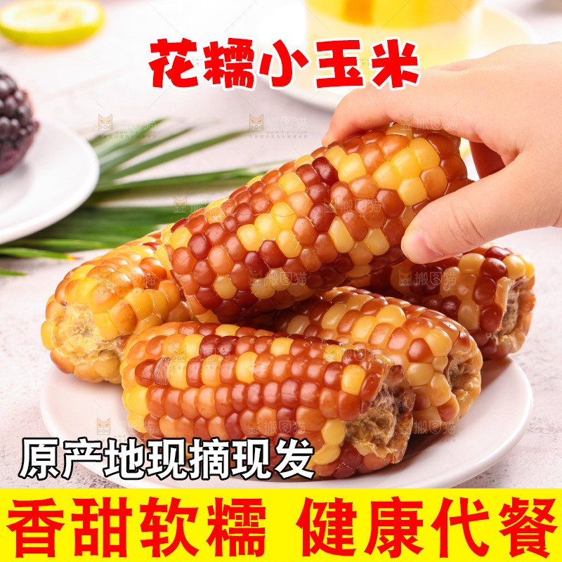 浅底上的小花糯玉米