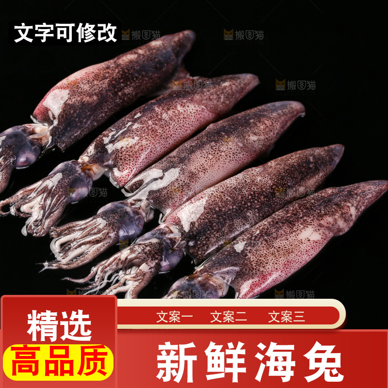 黑底上的海兔