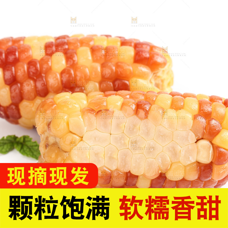 白底上的小花糯玉米