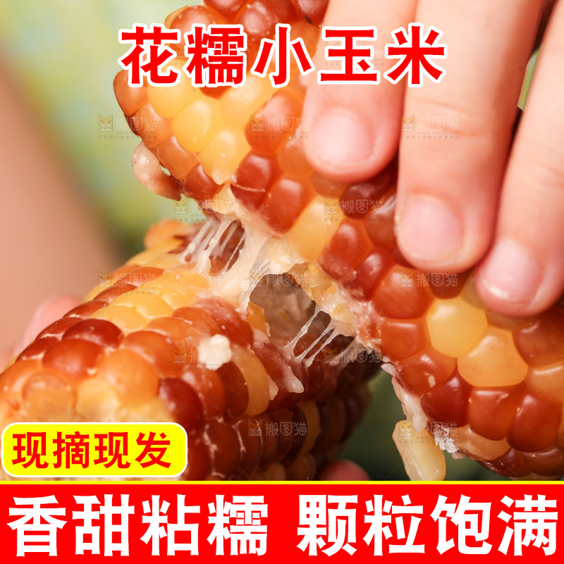深底上的小花糯玉米