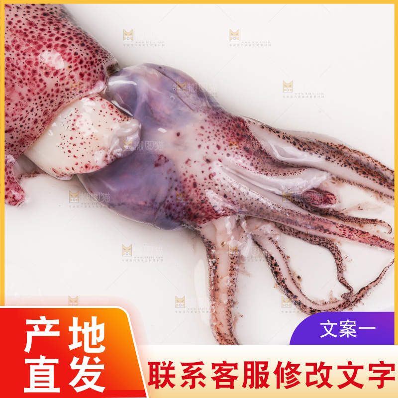 深底上的海兔