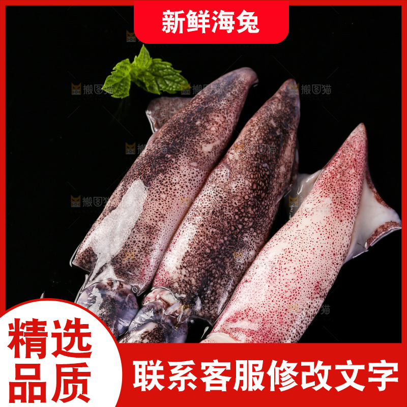 黑底上的海兔
