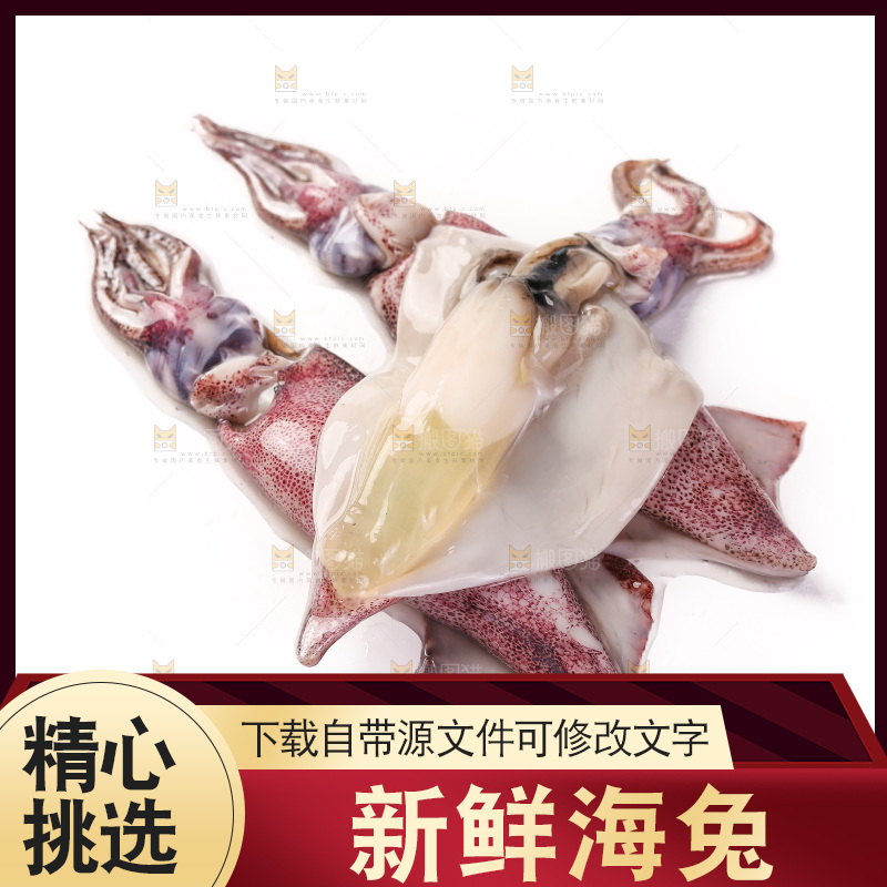 白底上的海兔