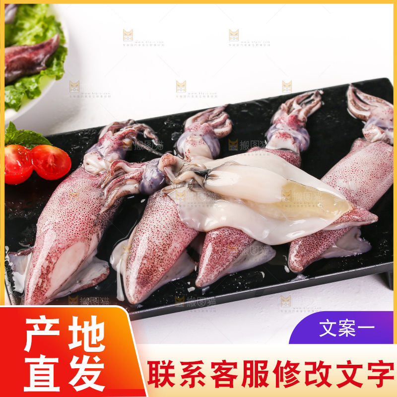白底上的海兔