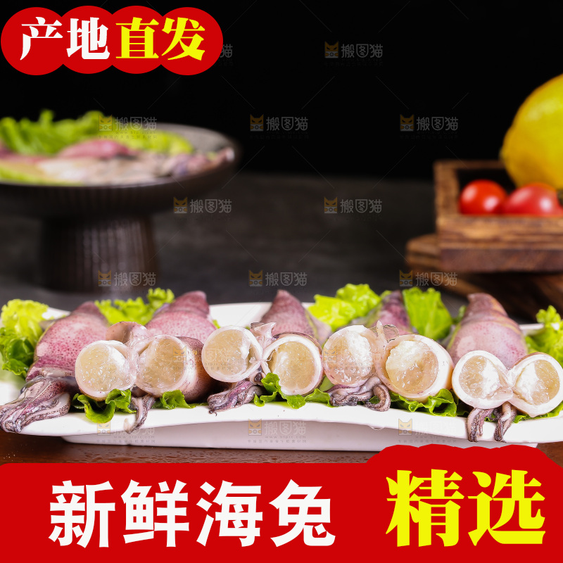 深底上的海兔