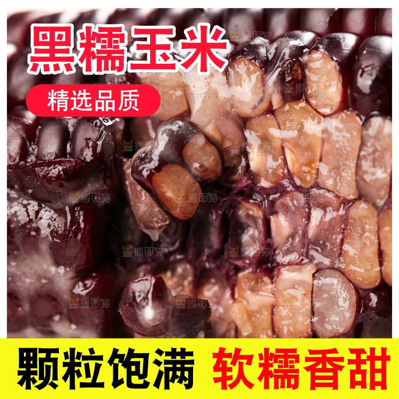 浅底上的黑糯玉米