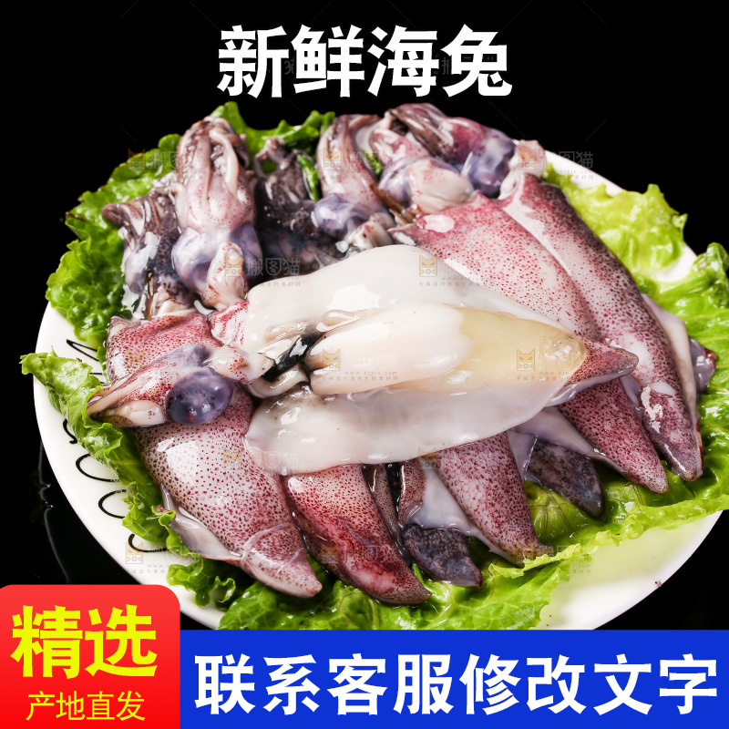 黑底上的海兔