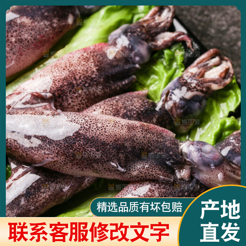 深底上的海兔
