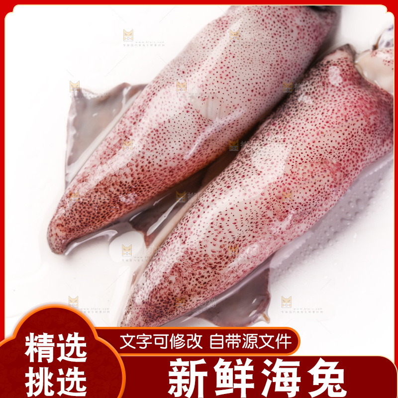 白底上的海兔