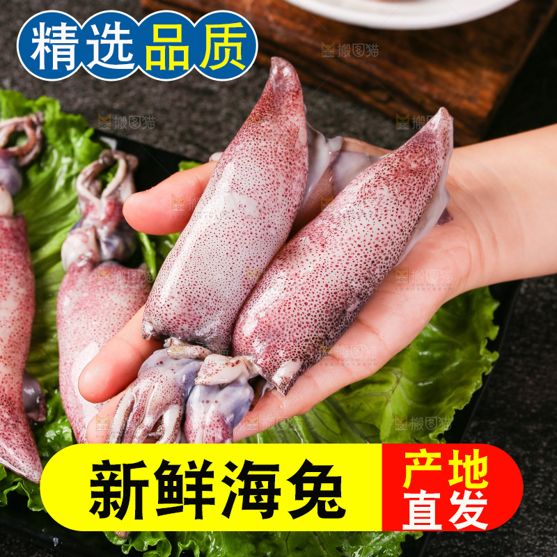 深底上的海兔
