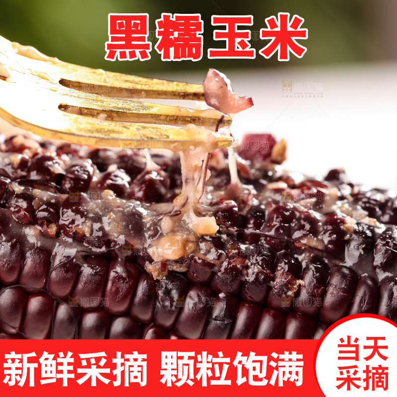浅底上的黑糯玉米
