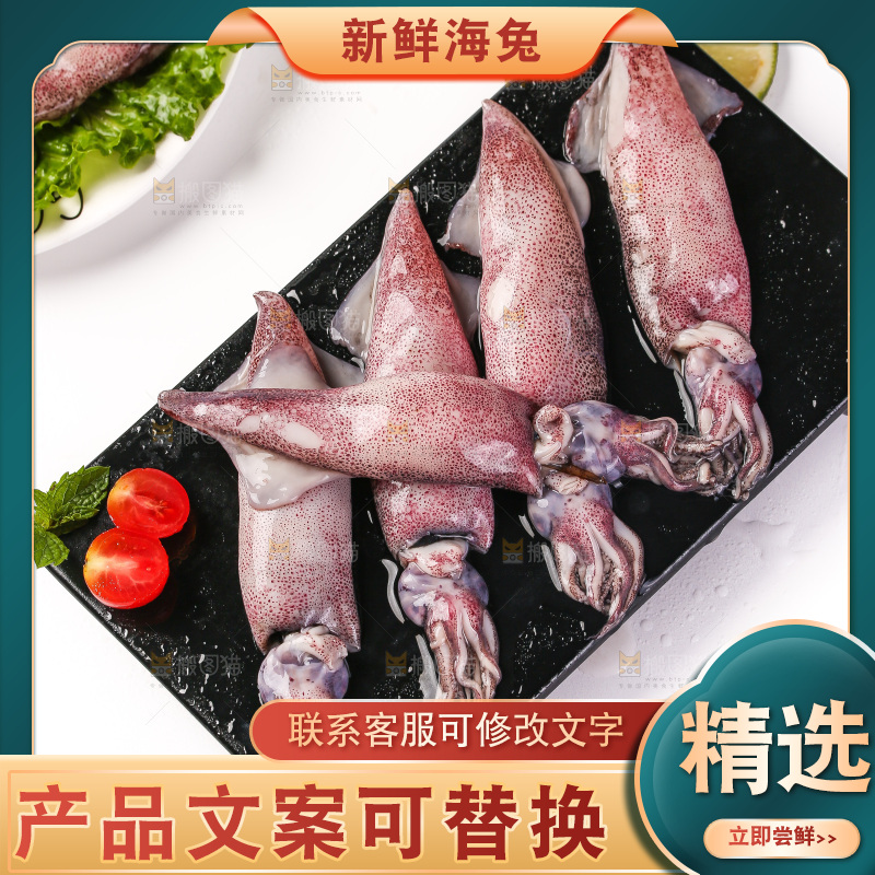 白底上的海兔