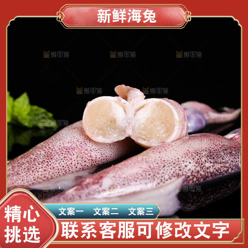 黑底上的海兔