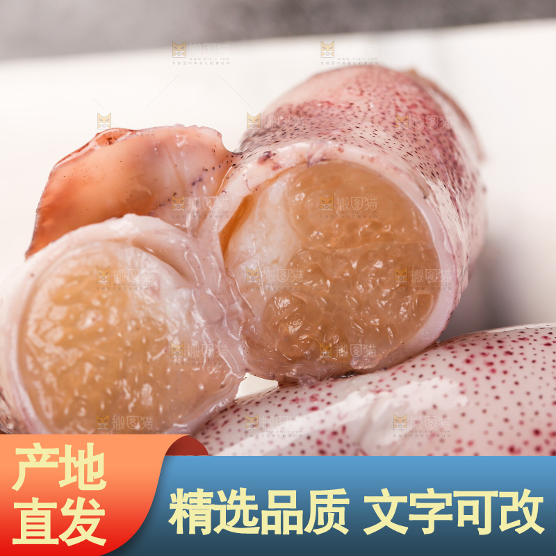 深底上的海兔