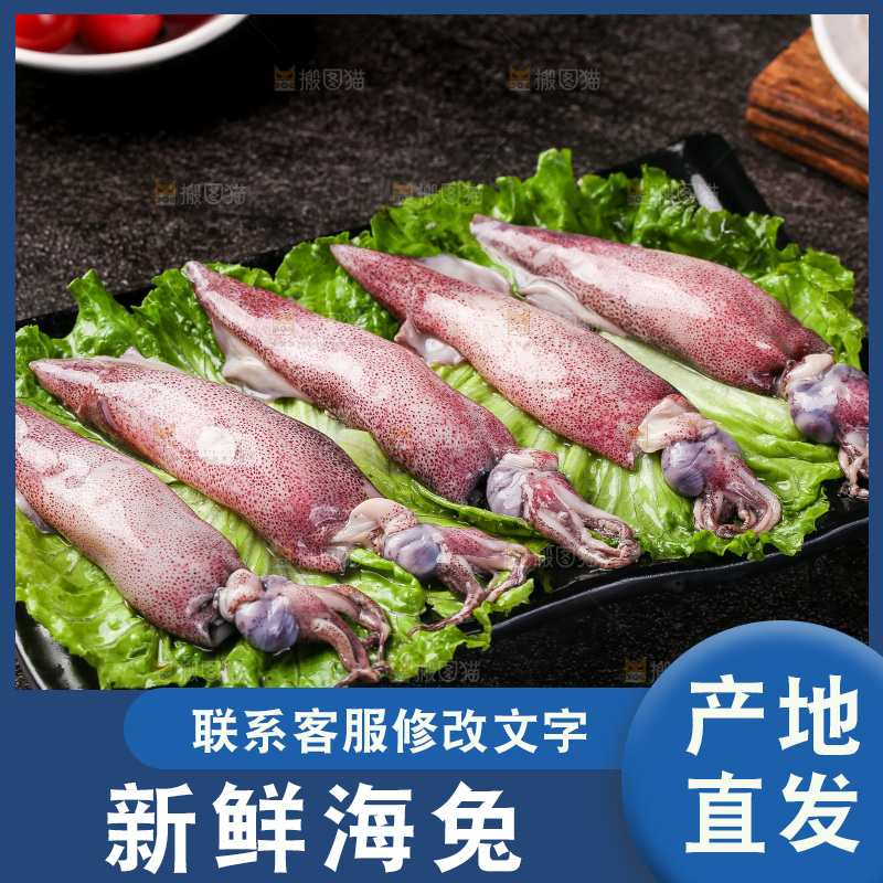 深底上的海兔